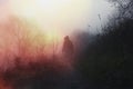 An atmospheric, moody concept. Of a ghostly hooded figure standing on a forest path on a foggy day. With a grunge, light leak,