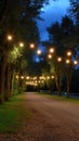 Atmospheric night scene featuring a path illuminated by a string of warm glowing lights hanging between trees under a Royalty Free Stock Photo