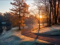 Atmospheric November morning landscape with sunrise, frost and winding road in the park