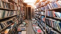 Cozy Light Retro Library. Books Concept