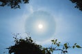 Atmospheric optical effect circle around the sun on hot summer day. Atmospheric halo phenomenon around the sun