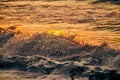 Atmospheric sea foam at colorful sunset, breathtaking scene of deep sea waves in gold water sparkles