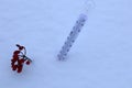 An atmospheric thermometer lies on the snow.
