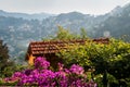 atmospheric view of tiled roof of old house and bougainvillea bush with pink flowers in front and mountains in fog behind. Italy Royalty Free Stock Photo