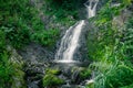 Atmospheric view of waterfall on river in rainforest. Swift stream among rocks