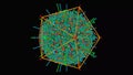 Atomic structure of the human herpesvirus 6B capsid with icosahedral symmetry shown