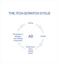 Atopic dermatitis itch-scratch cycle conditions. Poster design.