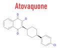 Atovaquone drug molecule. Skeletal formula. Chemical structure