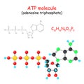 ATP Adenosine triphosphate molecule Royalty Free Stock Photo