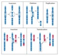 ATP: The Energy Currency for the Cell