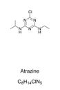 Atrazine, a herbicide, chemical formula and skeletal structure