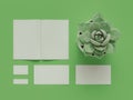 Atributes of web Designer on green background. Top View. flat Lay. 3D rendering. High resolution.