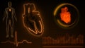 AV Node Signal or Atrioventricular Node Signal of Human Heart