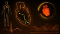 AV and SA Node Signals or Atrioventricular and Sinoartial Node Signal of Human Heart