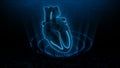 AV Node Signal or Atrioventricular Node Signal of Human Heart