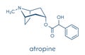 Atropine deadly nightshade Atropa belladonna alkaloid molecule. Medicinal drug and poison also found in Jimson weed Datura.