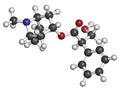 Atropine deadly nightshade Atropa belladonna alkaloid molecule. Medicinal drug and poison also found in Jimson weed Datura.