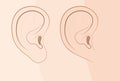 Attached Earlobe Free Earlobe In Comparison