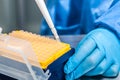 Attaching a disposable tip to a micropipette Royalty Free Stock Photo