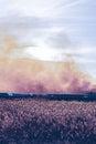 attack and drone strike on an oil and gas pipeline during the war, causing a large fire against the blue sky at sunset