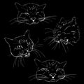 The attacking, quiet and sleeping cat, the black drawing on a white background Royalty Free Stock Photo