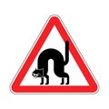 Attention Angry cat. Caution Attacker pet bully. Red triangle road sign