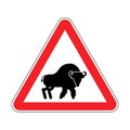 Attention Bison. Caution Aurochs. warning Zubr. Admonition Wild Royalty Free Stock Photo