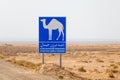 Attention camels crossing road sign in Tunisia, Africa Royalty Free Stock Photo