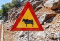 Attention crossing cows red and yellow road sign Royalty Free Stock Photo