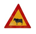 Attention crossing cows red and yellow road sign Royalty Free Stock Photo