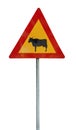 Attention crossing cows red and yellow road sign Royalty Free Stock Photo