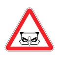 Attention Grumpy Cat. Caution Angry pet. Red triangle road sign