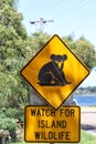 Attention Koalas
