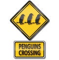 Attention penguin crossing