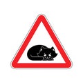 Attention Sleeping cat. Caution pet. Red triangle road sign