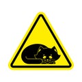 Attention Sleeping cat. Caution pet. yellow triangle road sign