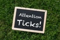 Attention Ticks! Royalty Free Stock Photo