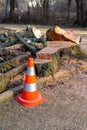 Attention warning cones due to tree felling work vertical Royalty Free Stock Photo