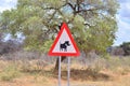 Attention Warthog Road Sign in Namibia Africa Royalty Free Stock Photo