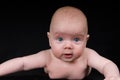 Attentive baby boy Royalty Free Stock Photo