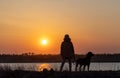 A girl walks with a friend - a guard dog of the Rottweiler breed against the backdrop of a lake and sunset Royalty Free Stock Photo