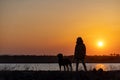 A girl walks with a friend - a guard dog of the Rottweiler breed against the backdrop of a lake and sunset Royalty Free Stock Photo