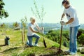 Attentive man preparing soil for planting