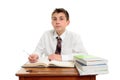 Attentive school student doing work Royalty Free Stock Photo
