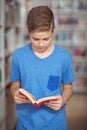 Attentive schoolboy reading book in library