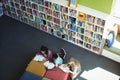 Attentive students studying in library Royalty Free Stock Photo