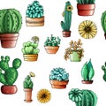 ÃÂ attern cacti and succulents elements isolated colorized on white background