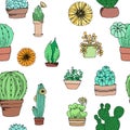 ÃÂ attern cacti and succulents elements isolated colorized on white background Royalty Free Stock Photo