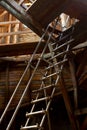 Attic with ladder