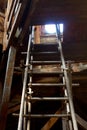 Attic with ladder